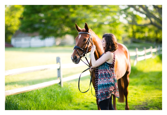 melissa_0001 Horse portrait